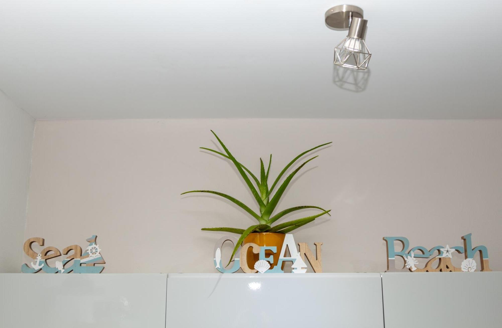 New! Cozy 1 Bedroom Condo- Gold Coast, Noord Aruba Palm Beach Exteriér fotografie